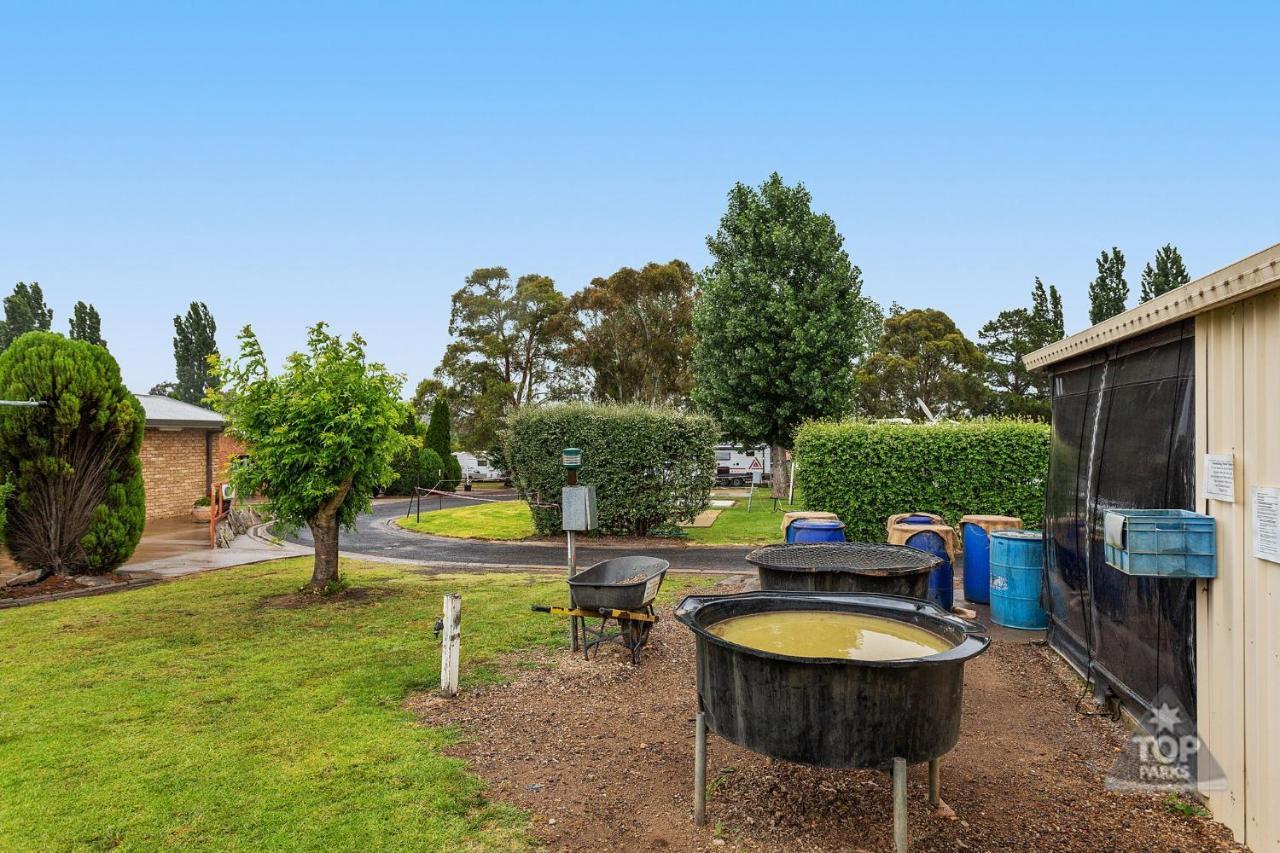 Fossicker Caravan Park Glen Innes Extérieur photo